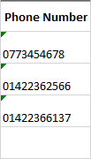 Excel - Producing Consistent Data - 4 Detailed Formatting Continued phone number